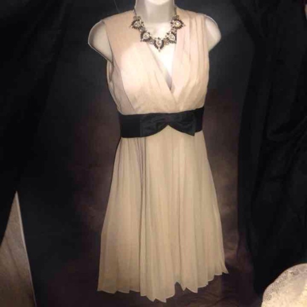 Max and Cleo chiffon dress nwot