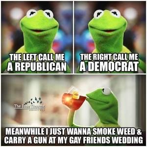 Meet your Posher, Brianne