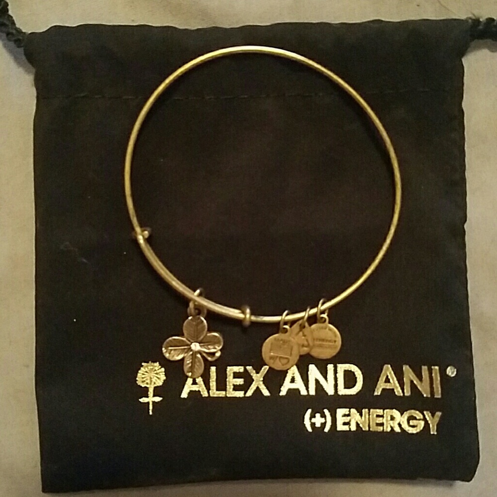 Alex and Ani bracelet