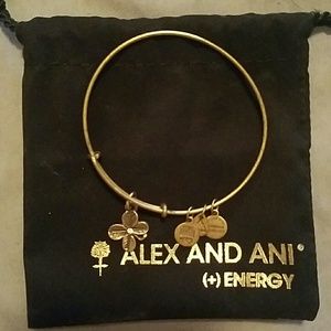 Alex and Ani bracelet