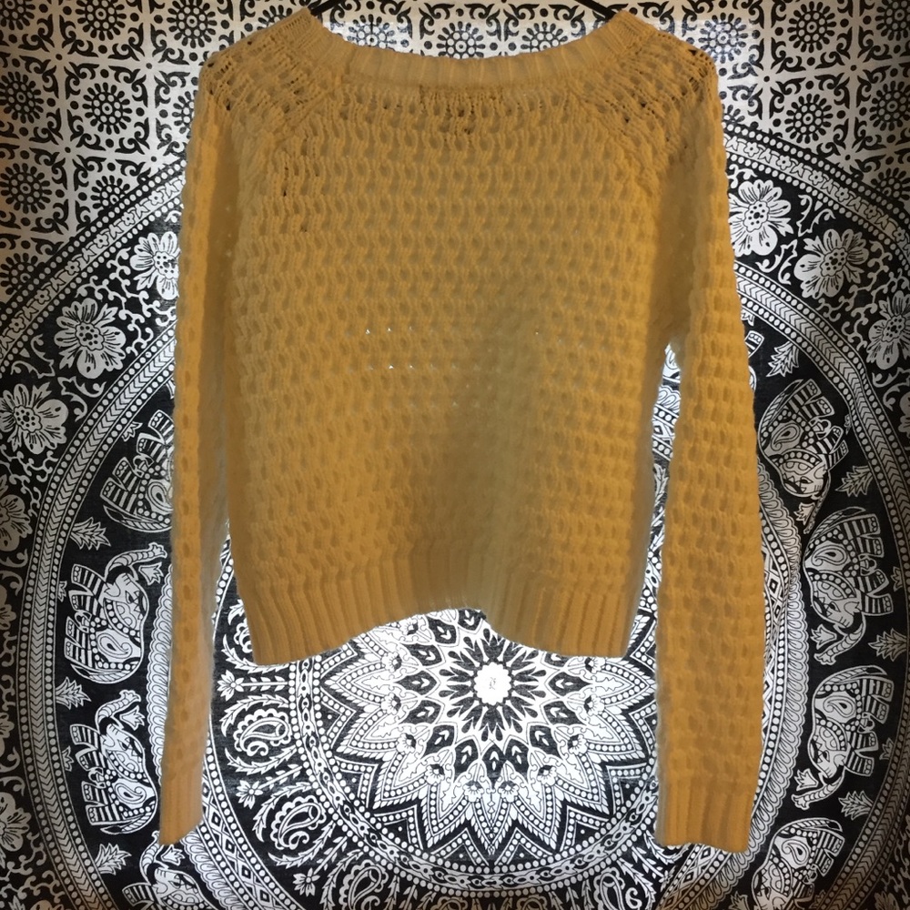 Knit Long Sleeve Crop Top - Picture 2 of 2