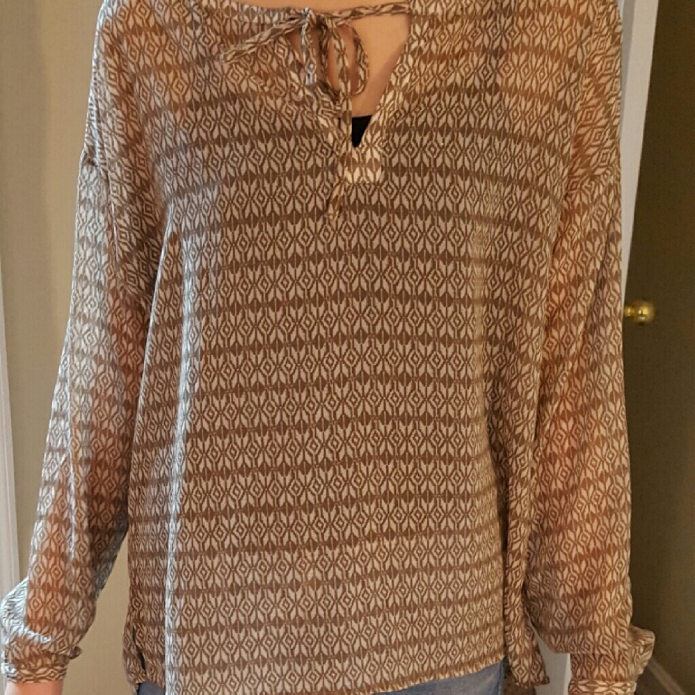 Sheer Blouse, classic