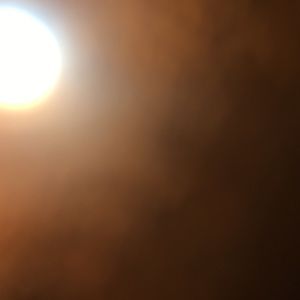 Meet your Posher, Dylan