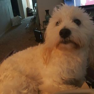 Meet your Posher, Donna