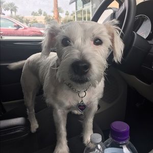 Meet your Posher, Kati