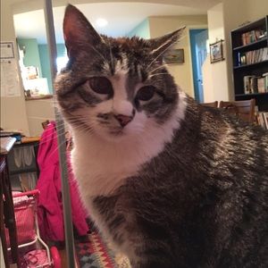 Meet your Posher, Kari