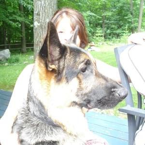 Meet your Posher, Lourdes