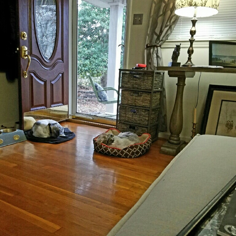 Meet your Posher, Melody