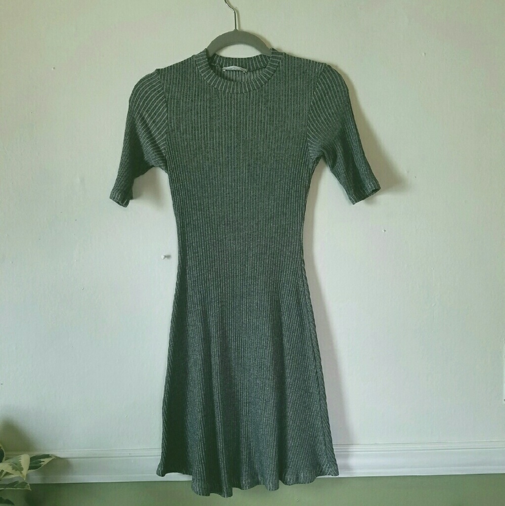 Zara Ribbed Fit & Flare Dress
