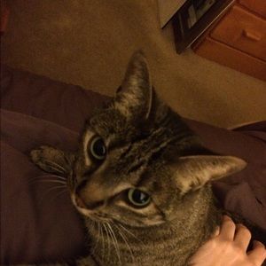 Meet your Posher, Tamara