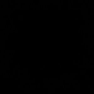 Meet your Posher, Sia