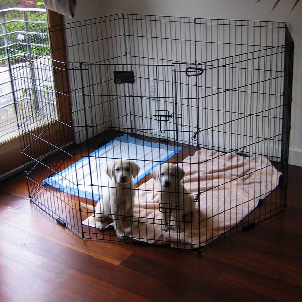 Meet your Posher, Reena