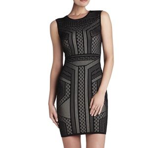 BCBG stretch knit dress