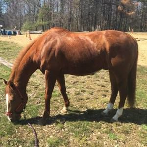 Meet your Posher, Johnathon