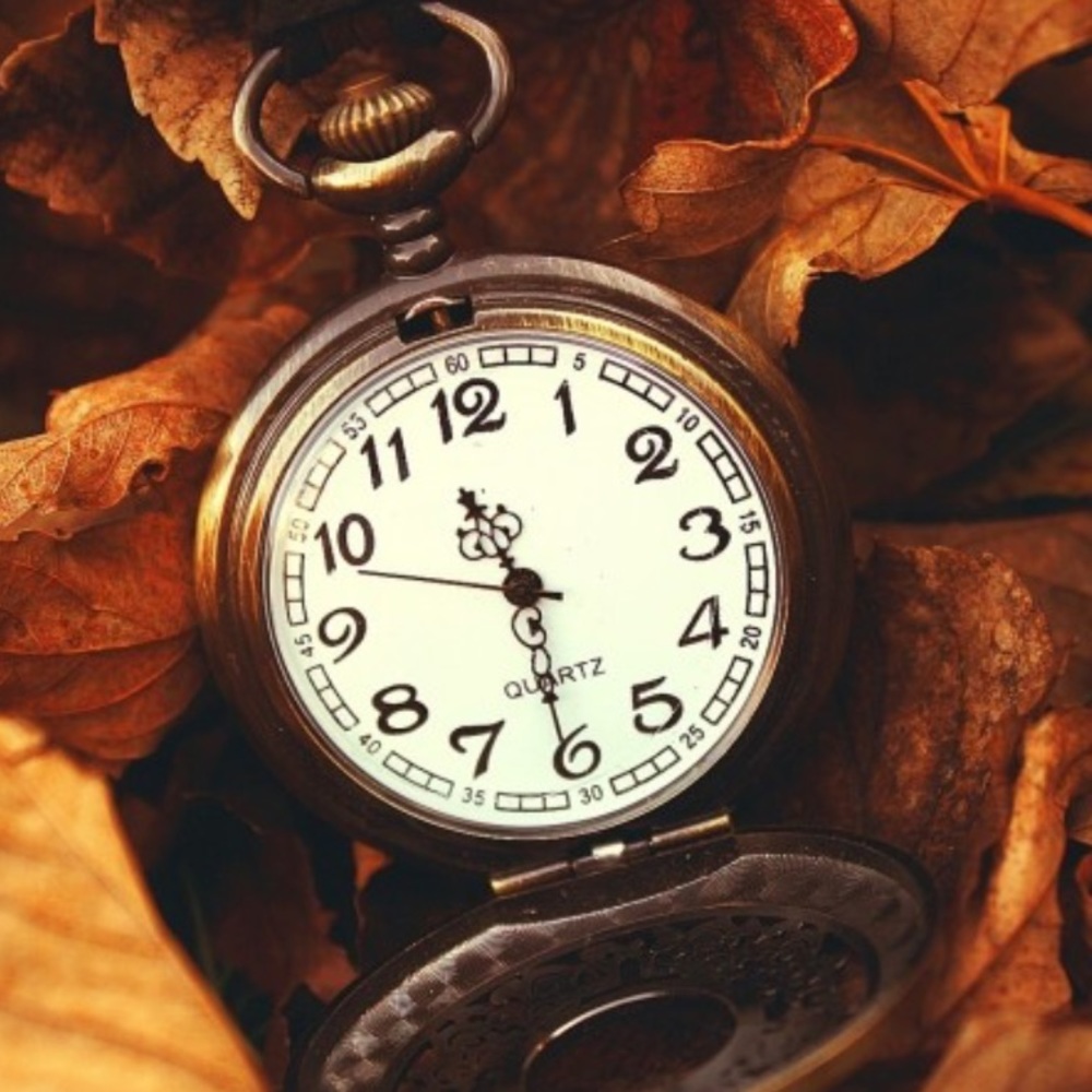 Time To Relax & Enjoy Some Down Time! - image 3