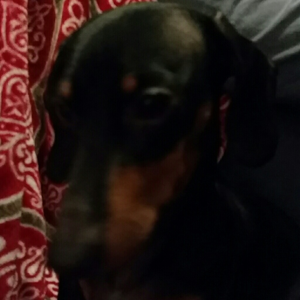 Meet your Posher, Nancy