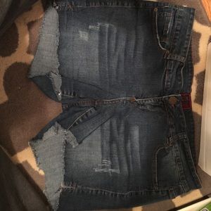 Torrid Distressed Shorts