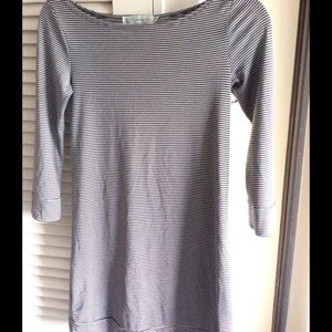 Fighting Eel Striped Mini