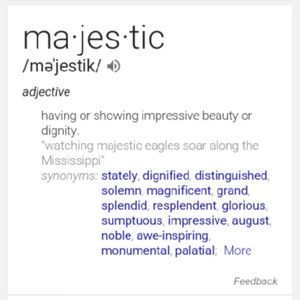 Meet your Posher, Teona