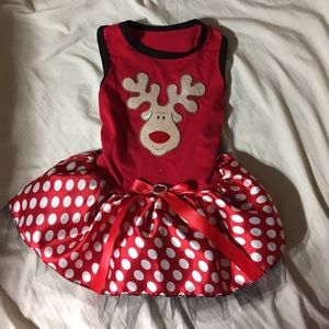 Girl dog clothing