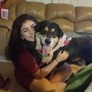 Meet your Posher, Sammy