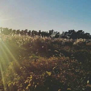 Meet your Posher, Jade