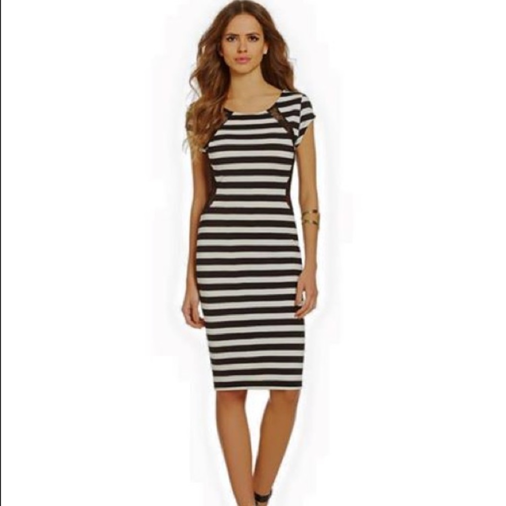 NWT Parisian Garden Gianni Bini Dress