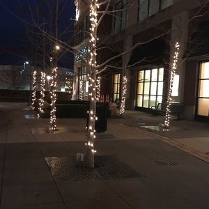 Meet your Posher, Kailee