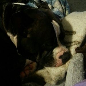 Meet your Posher, Pam