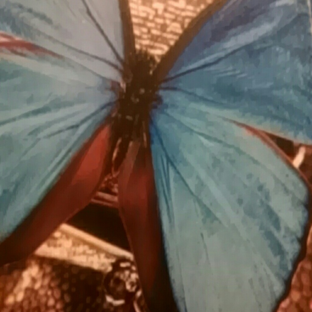 Meet your Posher, Penny