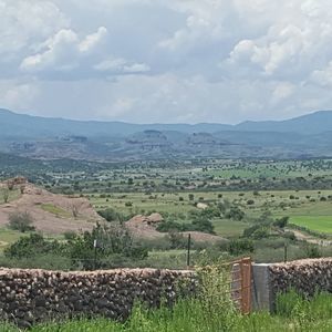 Meet your Posher, Connie