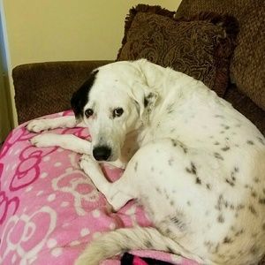 Meet your Posher, Lori