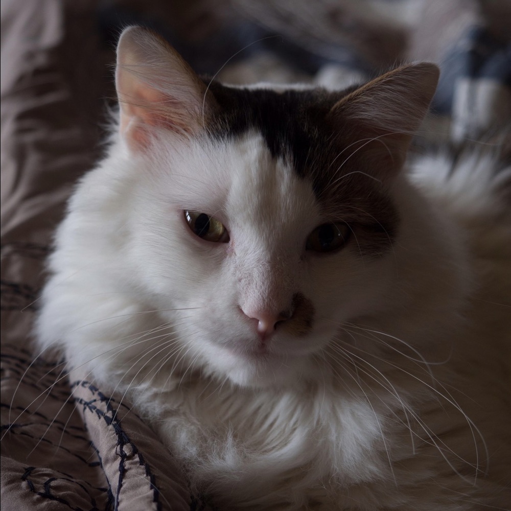 Meet your Posher, Wendy