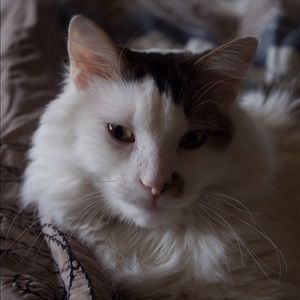 Meet your Posher, Wendy