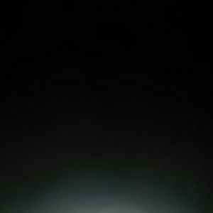 Meet your Posher, Phillina