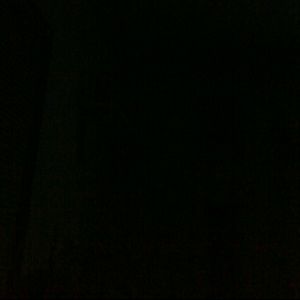 Meet your Posher, Shelby