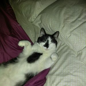 Meet your Posher, Debra