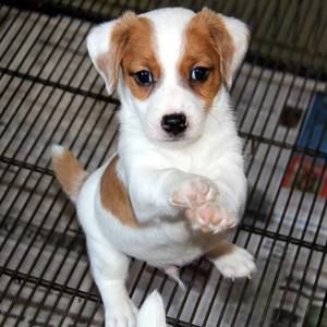 Meet your Posher, Vicki