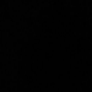 Meet your Posher, Paulina