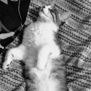 Meet your Posher, Joseph