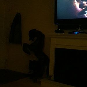 Meet your Posher, Andy