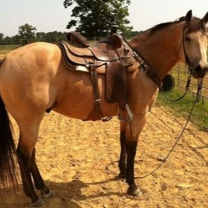 Meet your Posher, Brookelyn