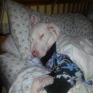 Meet your Posher, Donna