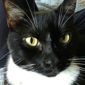 Meet your Posher, Tamara