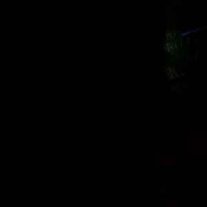 Meet your Posher, Leslie