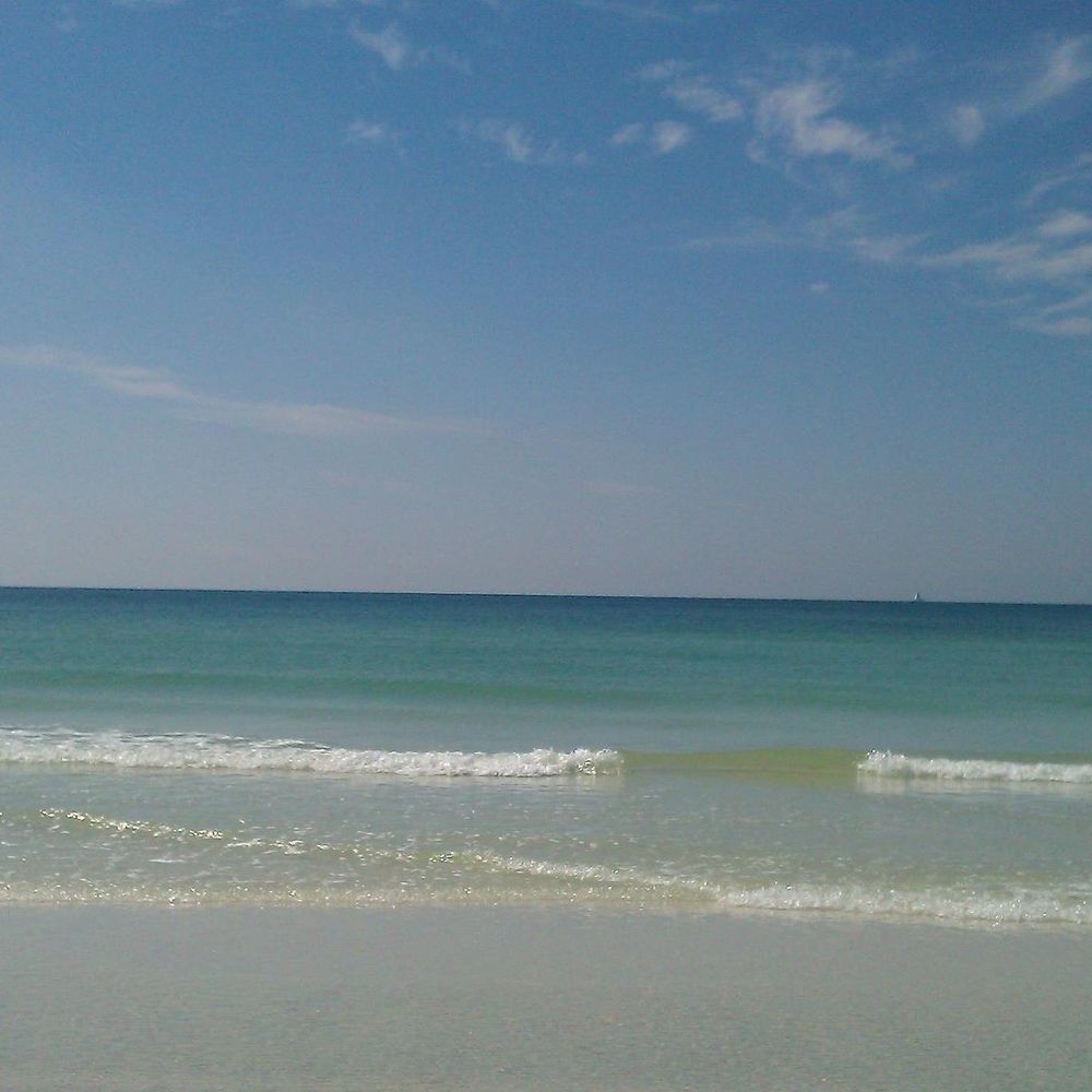 Meet your Posher, Gwen