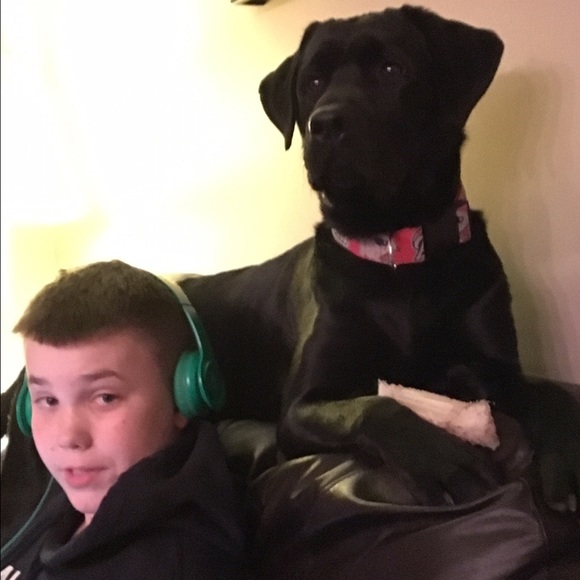 Meet your Posher, Amy - Picture 4 of 4