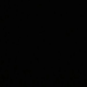 Meet your Posher, Sasha