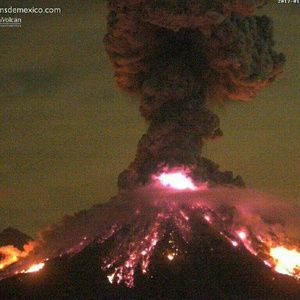 Meet your Posher, Paula