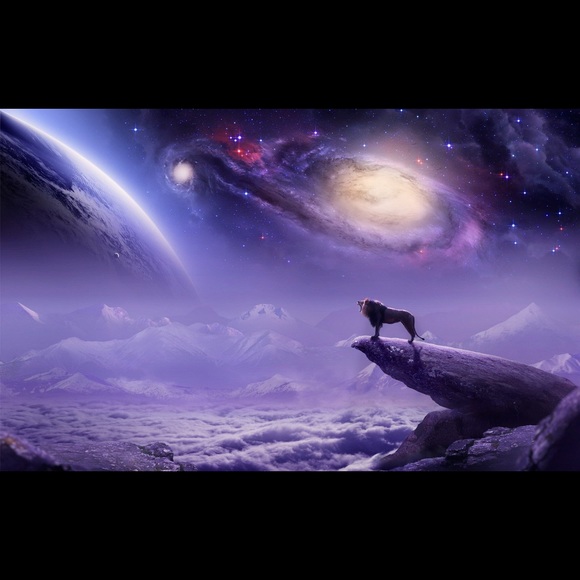 Meet your Posher, Alcee - Picture 1 of 1